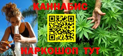 молекула духа Будённовск