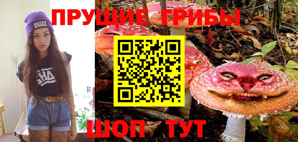 Псилоцибиновые грибы ЛСД  Галлюциногенные грибы Magic Shrooms  Вход с VPN  Светлоград 